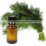 Dill Oil (Anethum Sowa ) thumbnail-5
