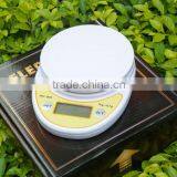 1kg/0.1g Digital Postal Cooking Food Diet Grams Kitchen Scale