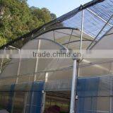 Plastic Film Multi Span Agriculture Greenhouse thumbnail-4