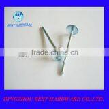 Galvanized Roofing Nail With Umbrella thumbnail-1