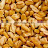 Fenugreek Seeds thumbnail-1