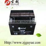 12v 8ah Maintenance Free Battery Used on Motor
