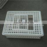 Plastic Poultry Transport Cages for Chicken Cage thumbnail-1