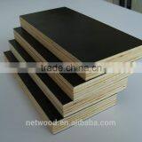 PHENOLIC POPLAR FILM FACED PLYWOOD FOR CONSTRUCTION thumbnail-2
