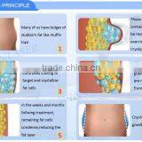 Lose Weight Cryolipolysis Cool Shaping Machine / Cryolipolysis Skin Lifting Slimming With RF CAVITATION Multifunction System Cellulite Reduction thumbnail-6