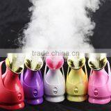 Beauty SPA Salon Electric Ionic Face Steamer Facial Steamer, thumbnail-5