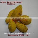 Turmeric Fingers Whole Spice / Turmeric / Curcuma Longa Fingers thumbnail-3