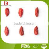 Top Quality Chinese Organic Red Goji Berries/red Wolfberries/red Medlar thumbnail-2