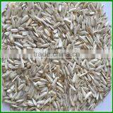 China Roasted and Salted White Sunflower Seeds for Human Eating thumbnail-3