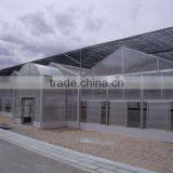 Plastic Greenhouses for Sale thumbnail-1