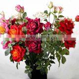 SJ11001107 Wholesale Artificial Flowers/high Initation Rose/decorative Single Rose thumbnail-2