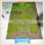Shengjie New Style SJLJ0621 for Home Garden Decorative Artificial Moss thumbnail-1