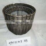 PLASTIC PLANTS thumbnail-1