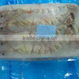 Frozen Sea Tiger Shrimps thumbnail-1