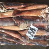 2017 New Arrive Frozen Argentina Illex Squid thumbnail-1