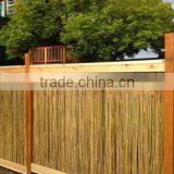 Natural Football Field Fence 3.5' 12-14mm Bamboo Cane for Several Sizes thumbnail-2