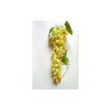 Artificial Grape,Plastic Grapes(FHM115B4) thumbnail-3