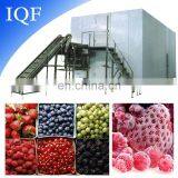 Advanced China Wholesale IQF Machine Flash Freeze Food Equipment thumbnail-2