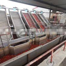 Professional Tomatoe Paste Line Production Machine Processing Line thumbnail-2
