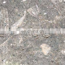 Premium Rustic Green Seagrass Limestone Slab Polished or Honed Finishing Made in Turkey Factory CEM-SLB-104 thumbnail-4