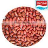 Red Skin Peanuts/ Peanut Kernels