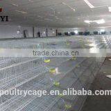 Metal Wire Mesh Layer Quail Broiler Cage For Sale( Now or Never ) thumbnail-6