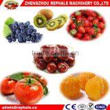 Food grade fruit and vegetable pulping machine on promotion