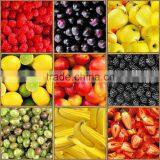 Pvc Tablecloth Durable Tablecloths thumbnail-2