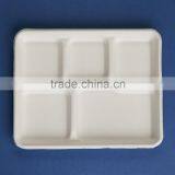 TY-05 10"x8" 5 Compartments Disposable Food Tray thumbnail-3