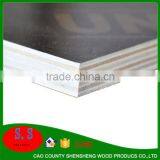 10mm 12mm15mm 18mm 20mm 25mm Poplar Sheet Black or Brown Construction Formwork Materials From Plywood Factory thumbnail-4