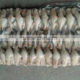 Frozen Leather Jacket Fish thumbnail-5