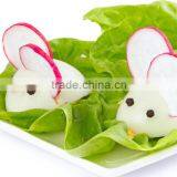 2015 New Electric Egg Cooker thumbnail-5