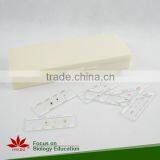 Microscope Plant Slides ,Corn Prepared Slides, ON SALE Prepared Slides thumbnail-6