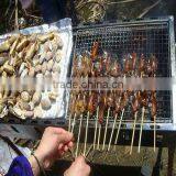 Barbecue Wire Mesh(Bright Color, Good Structure, Export Standard )