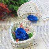 2016 Yiwu Aimee Wholesale Valentine's Day Gift Import Preserved Fresh Cut Flower(AM-PF04) thumbnail-6