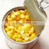 Canned Sweet Corn thumbnail-1