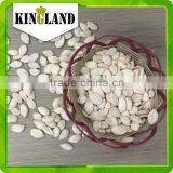 High Quaity Pumpkin Seeds Extract thumbnail-3