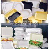 Technical Support Semi Automatic Thermoforming Food Container thumbnail-5