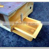 Wooden Pollen Trap thumbnail-1