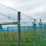 White Crystal Color Raschel Knitted Polyethylene Agriculture Anti Hail Net/Hail Protection Net