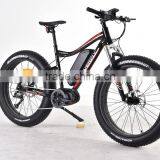 26inch 48Vmountain Electric Bicycle With Bafang Max Mid Motor thumbnail-4