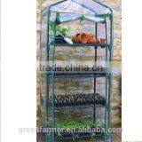 Garden Greenhouse thumbnail-3