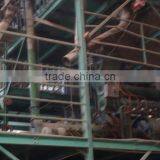 Best Quality Protein Fish Meal thumbnail-1