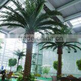 Home Garden Edging Decorative 5ft to 16ft Height Outdoor Artificial Green Plastic Palm Trees EDS06 0816 thumbnail-4