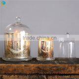 Cloche Glass Bell Dome With Base thumbnail-5