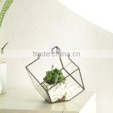 Indoor Gardening Geometric Glass Terrarium Container Succulent Planter thumbnail-3
