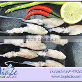 Zhoushan Wild Caught Fresh Baby Squid BQF OR IQF thumbnail-1