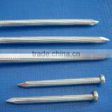 Galvanized Hardened Concrete Steel Nails/stainless Steel Concrete Nail thumbnail-1