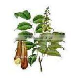 Balsam Peru Oil thumbnail-1