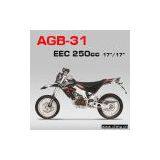 Enduro Dirt Bike(EEC,A31A250M,New) thumbnail-1